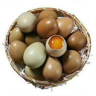 野鸡蛋含丰富的优质蛋白